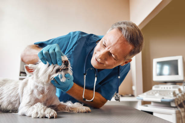 Best Broken Tooth Emergency  in Mobile, AL